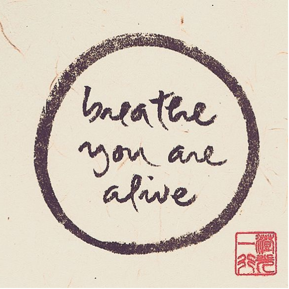 Thumbnail Portfolios